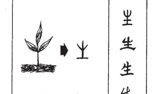 茄子的吃法网 - 网站提供茄子的吃法家常做法小常识、茄子的吃法大全家常菜